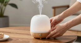 13 Best Aromatherapy Diffuser Premium Large Room in 2026