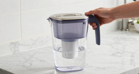 14 Best Reusable Water Filtration Pitcher Premium in 2026