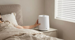7 Best White Noise Machine Premium in 2026