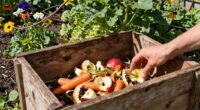 easy composting without obsession