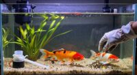 essential large tank maintenance