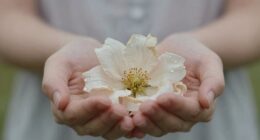 gentle kindness challenges norms