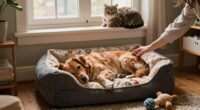 pet security enhancing routines