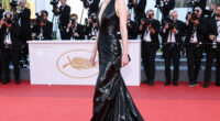 Cannes Film Festival 2026: All the Red Carpet Photos
