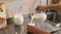 Milk-Inspired Hero Campaigns