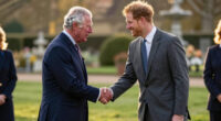 King Charles Prince Harry Meeting