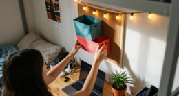 3 Best Dorm Room Essentials in 2026